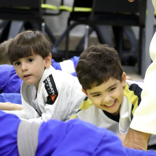 judo-integral